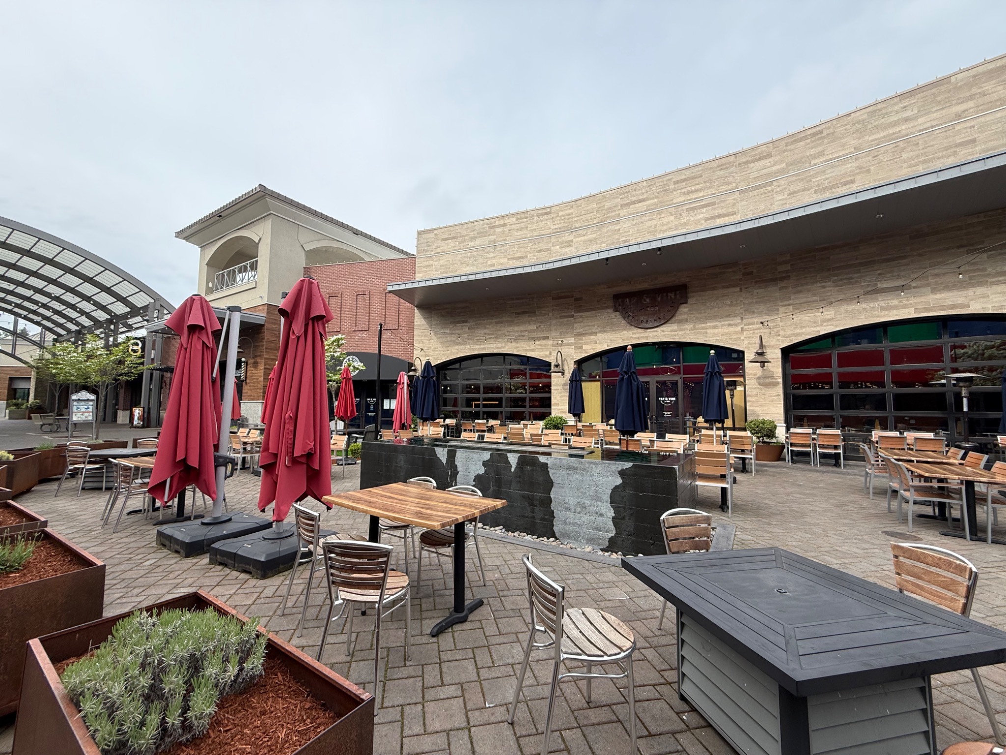 Tap & Vine at 559
